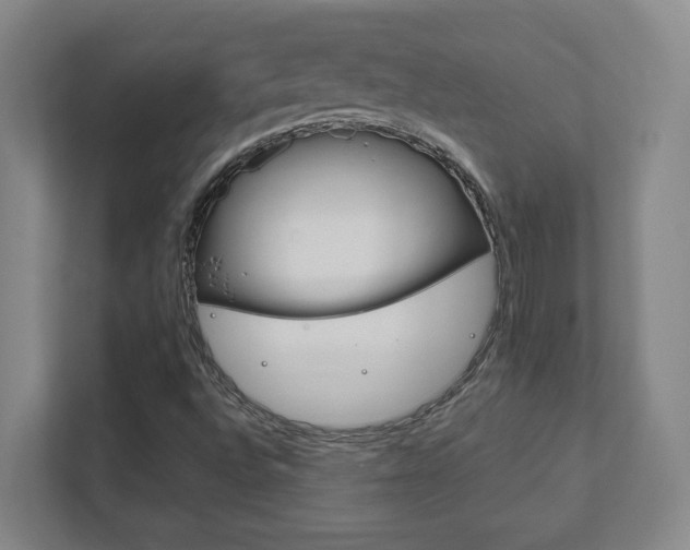 X0000111851496200907231049