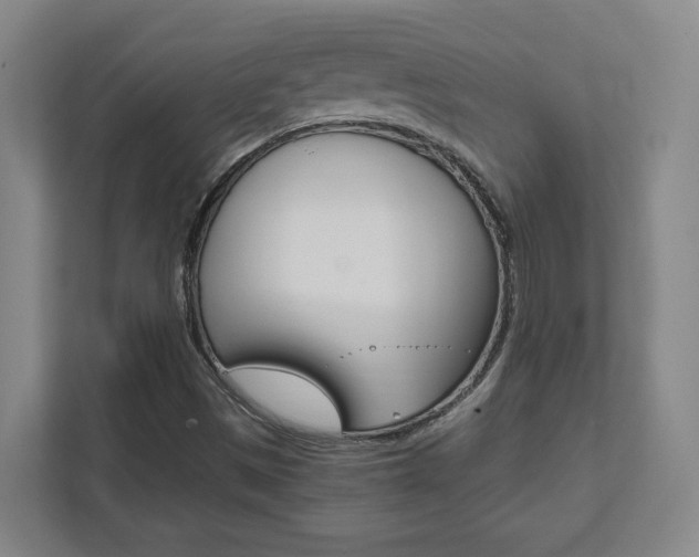 X0000111851497200907231049