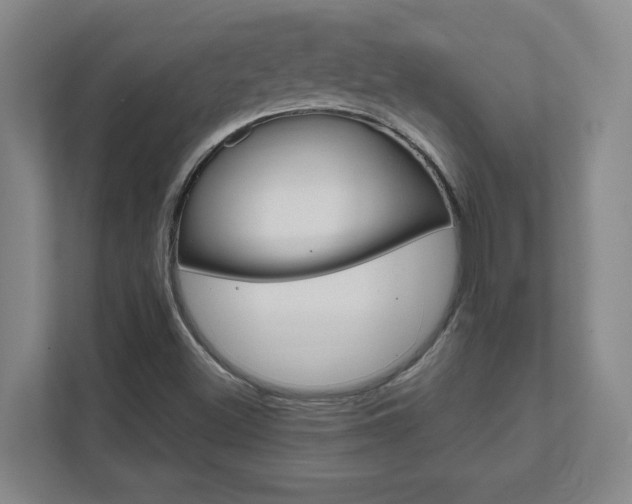 X0000111851500200907231049
