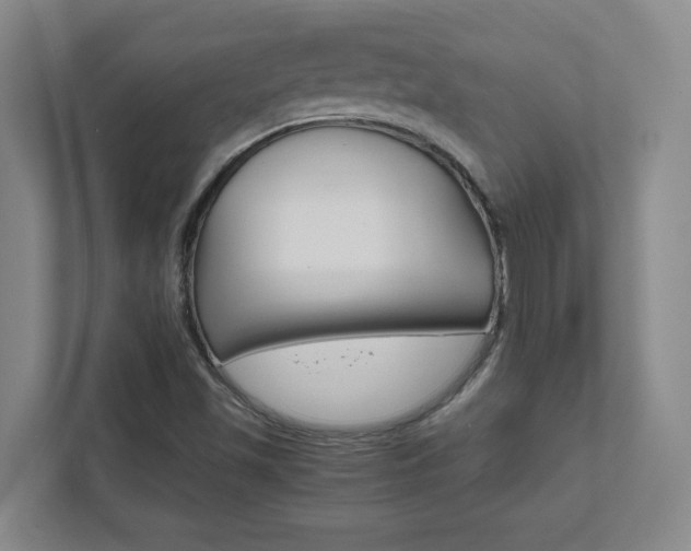 X0000111851501200907231049