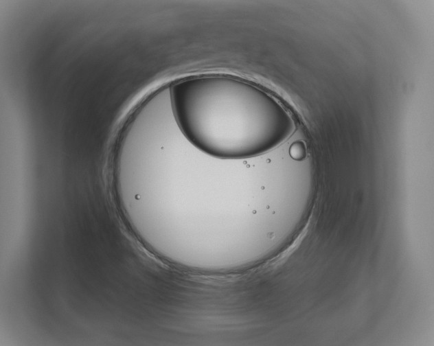 X0000111851502200907231049