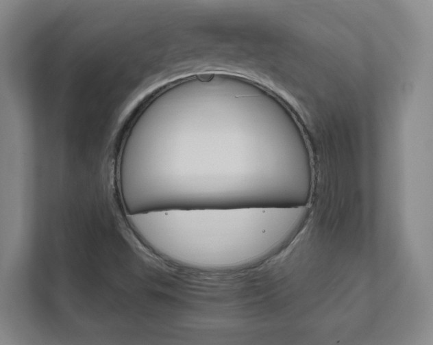X0000111851503200907231049