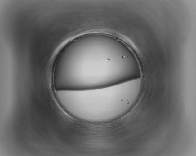 X0000111851504200907231049