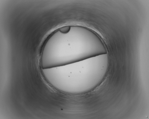 X0000111851507200907231049