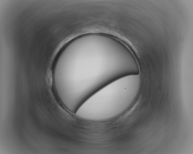 X0000111851509200907231049