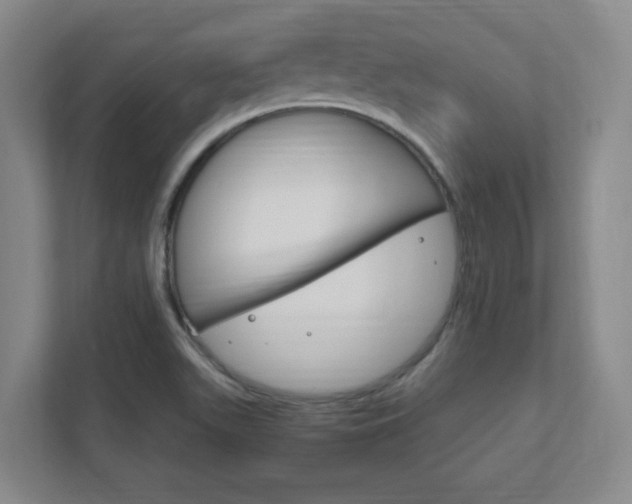 X0000111851511200907231049