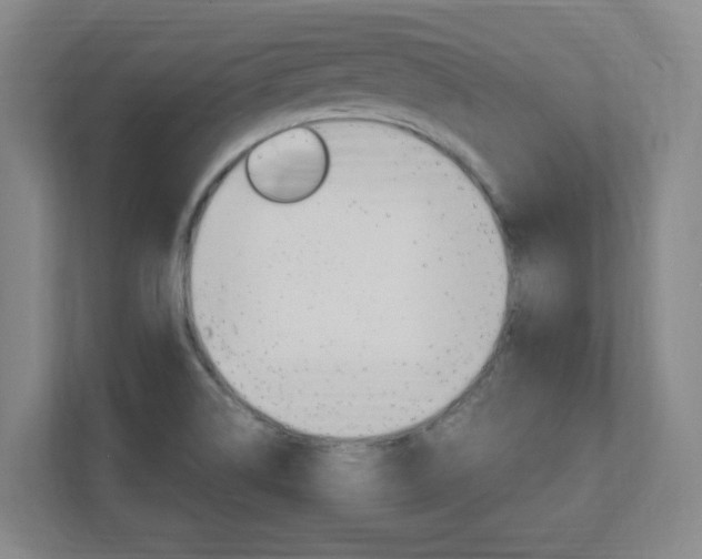 X0000111851514200907231049