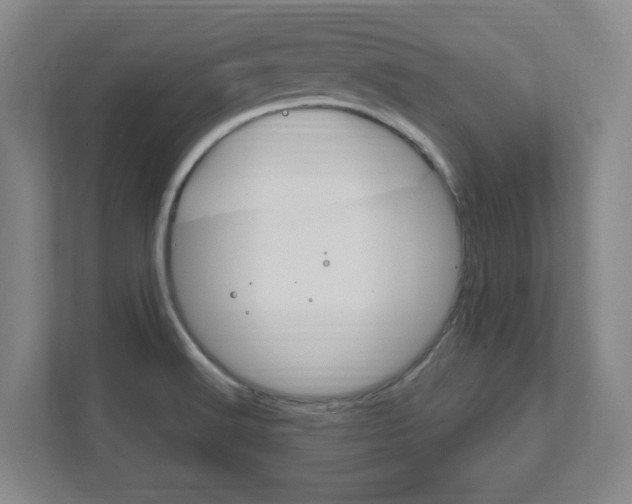 X0000111851516200907231049