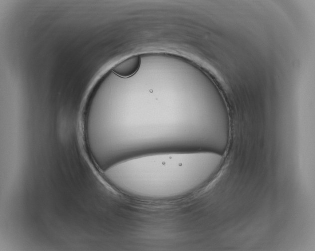 X0000111851517200907231049