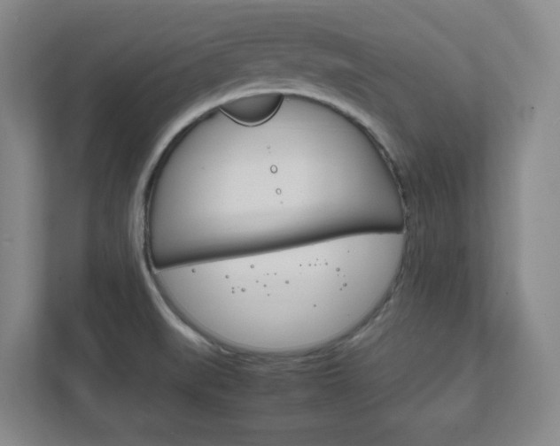 X0000111851519200907231049