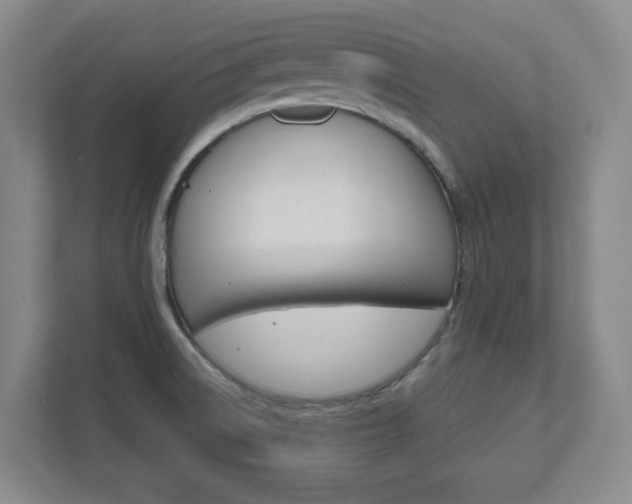 X0000111851522200907231049