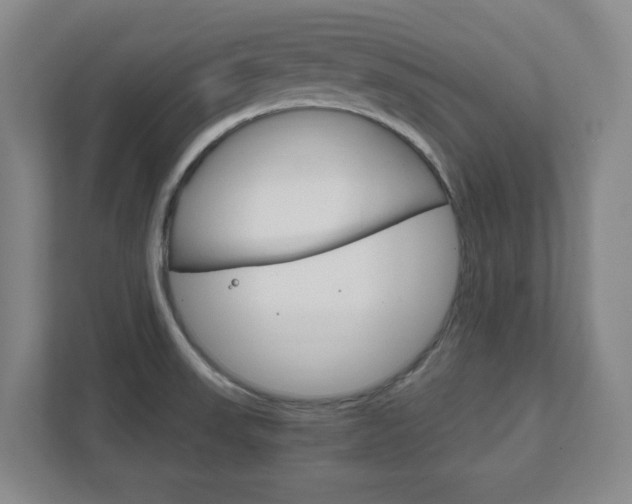 X0000111851523200907231049