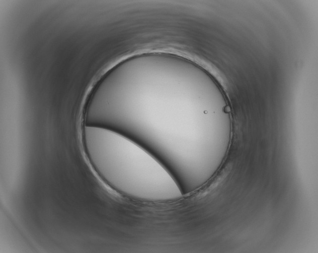 X0000111851525200907231049