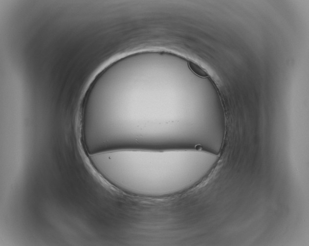 X0000111851526200907231049