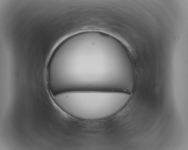 X0000111851527200907231049