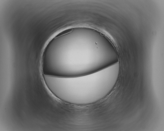 X0000111851528200907231049