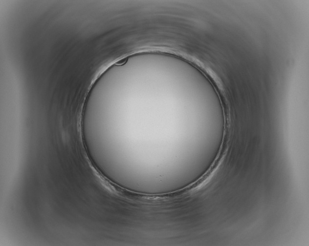 X0000111851529200907231049