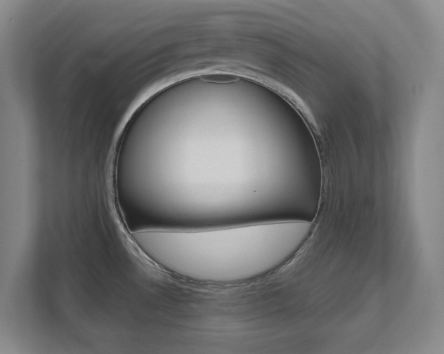 X0000111851530200907231049