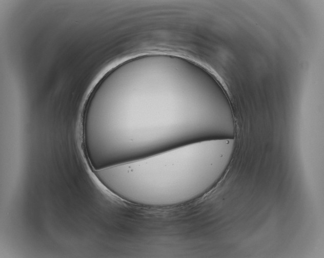 X0000111851531200907231049