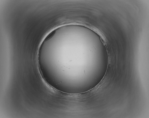 X0000111851532200907231049