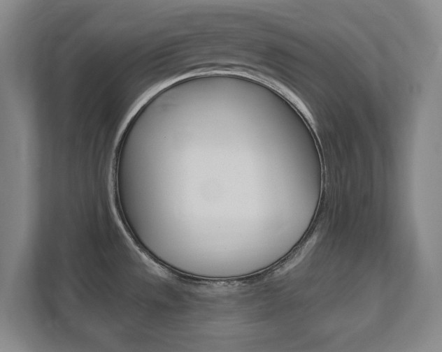 X0000111851533200907231049