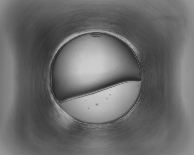 X0000111851534200907231049