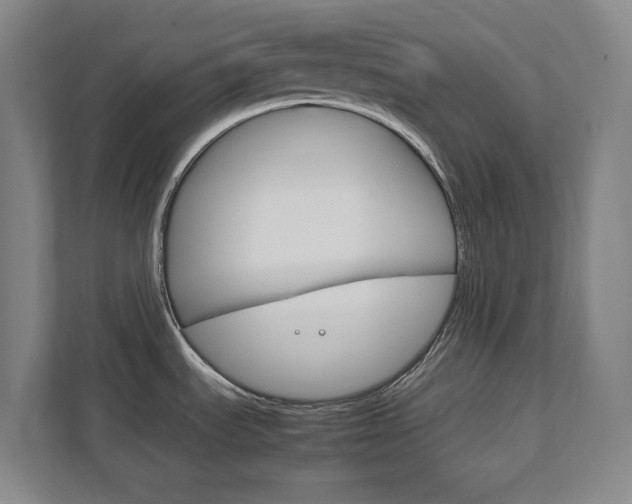 X0000111851535200907231049