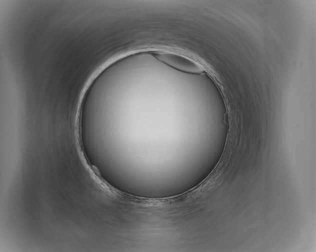 X0000111851536200907231049