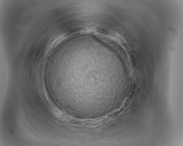 X0000111850001200907231438