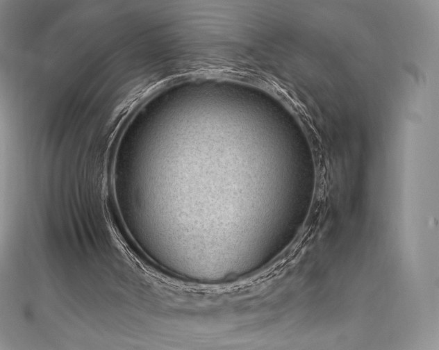 X0000111850002200907231438