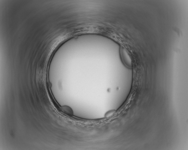 X0000111850003200907231438
