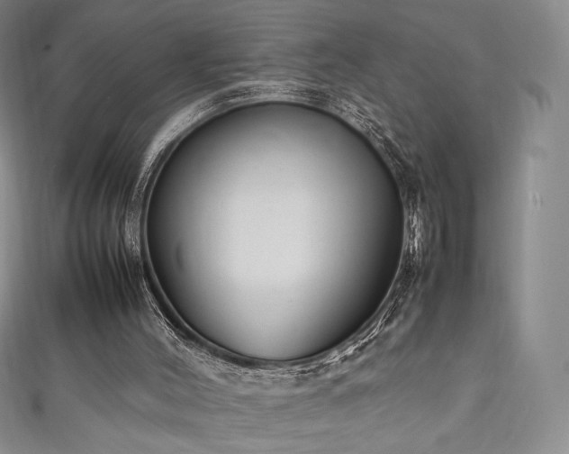 X0000111850004200907231438
