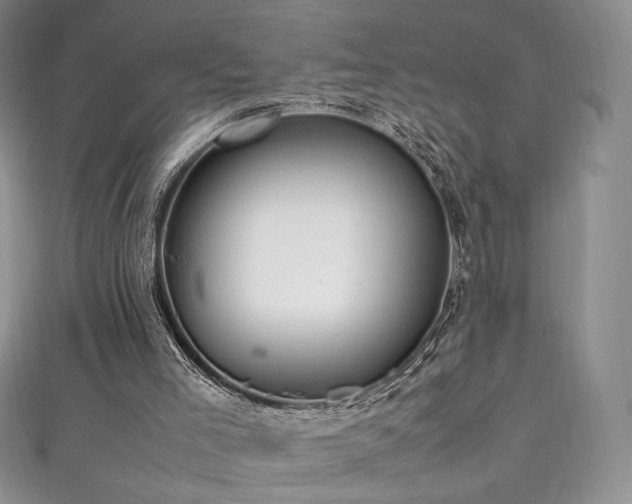 X0000111850005200907231438