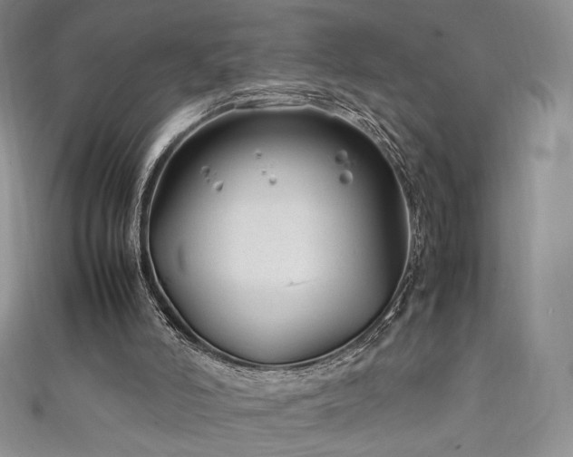 X0000111850006200907231438
