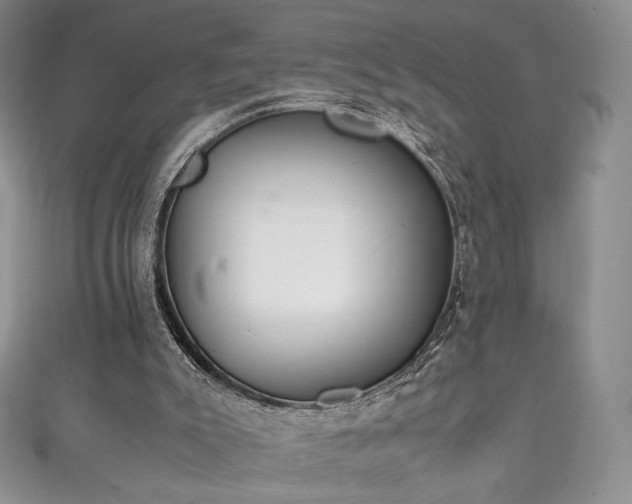 X0000111850007200907231438
