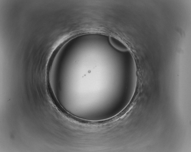 X0000111850008200907231438