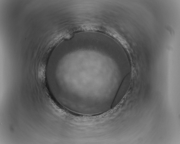 X0000111850009200907231438