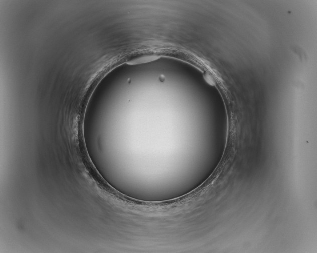 X0000111850010200907231438