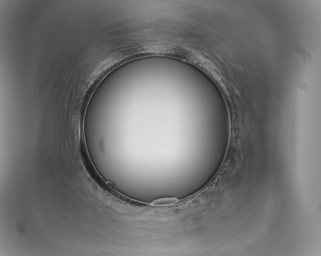 X0000111850011200907231438