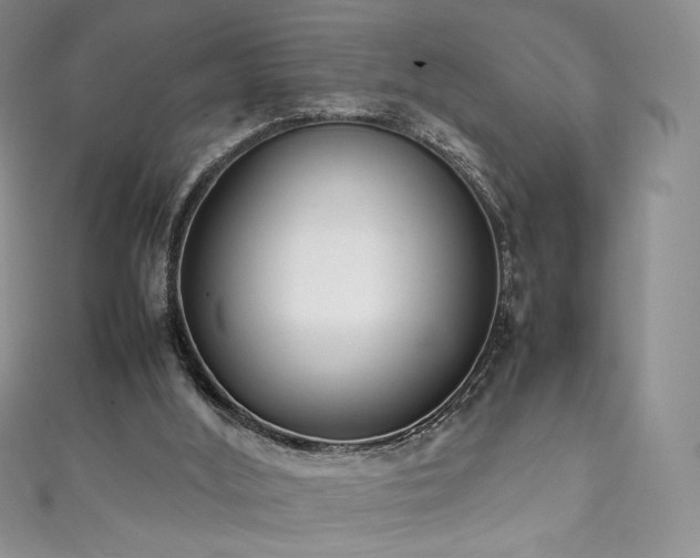 X0000111850012200907231438