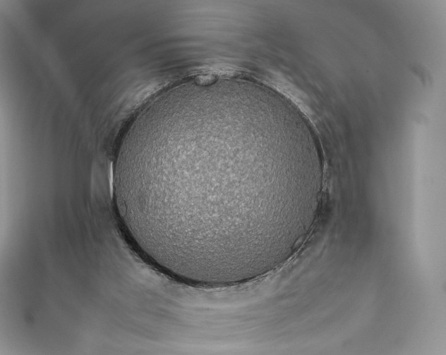 X0000111850013200907231438