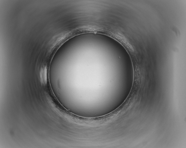 X0000111850014200907231438