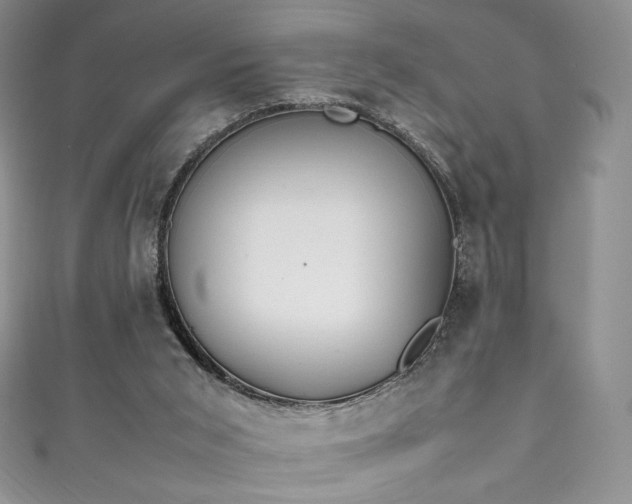 X0000111850015200907231438