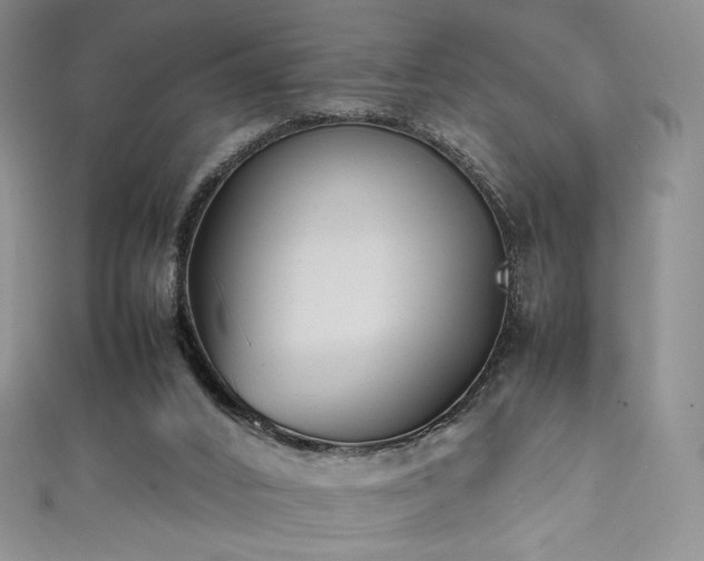 X0000111850016200907231438