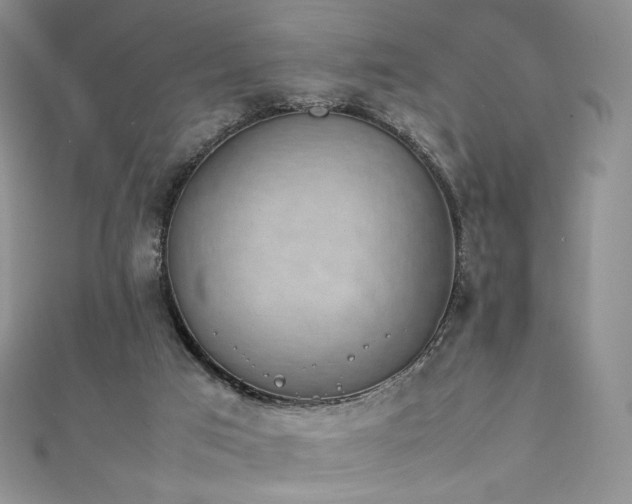 X0000111850017200907231438