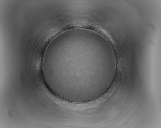 X0000111850018200907231438