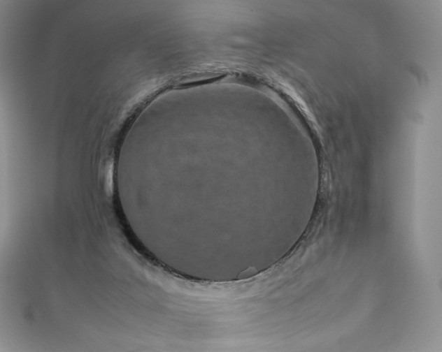 X0000111850019200907231438