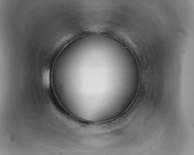 X0000111850020200907231438