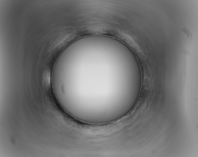 X0000111850021200907231438