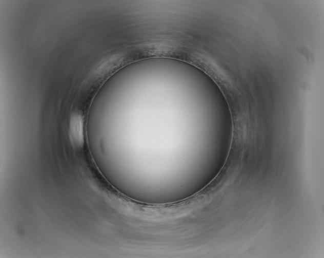 X0000111850022200907231438